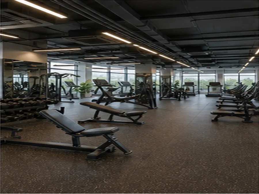Gym and fitness commercial renovation interior